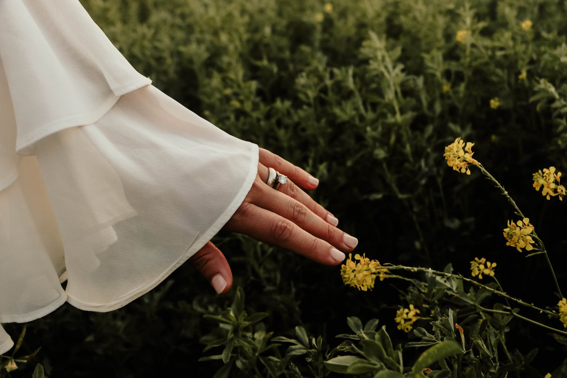 Photo by NUR DOĞAN on <a href="https://www.pexels.com/photo/a-woman-s-hand-in-a-field-of-yellow-flowers-16991296/" rel="nofollow">Pexels.com</a>