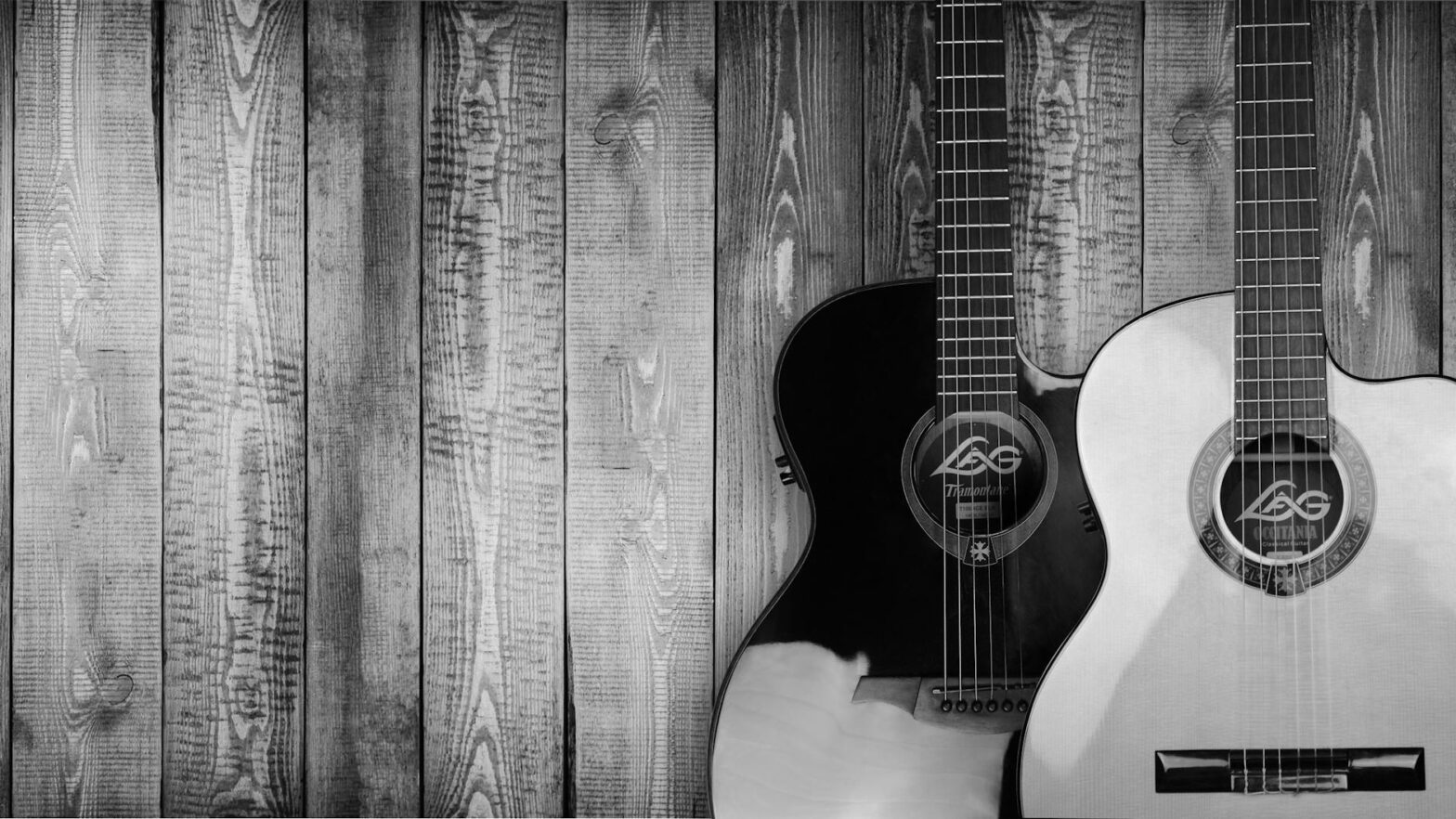 two grayscale acoustic guitars