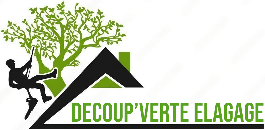 logo elagage 1