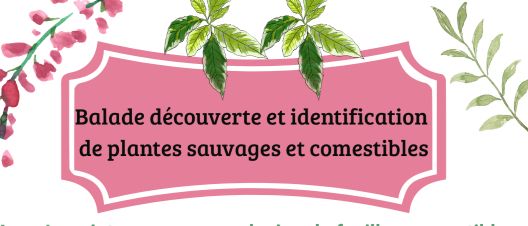 Balade découverte logo