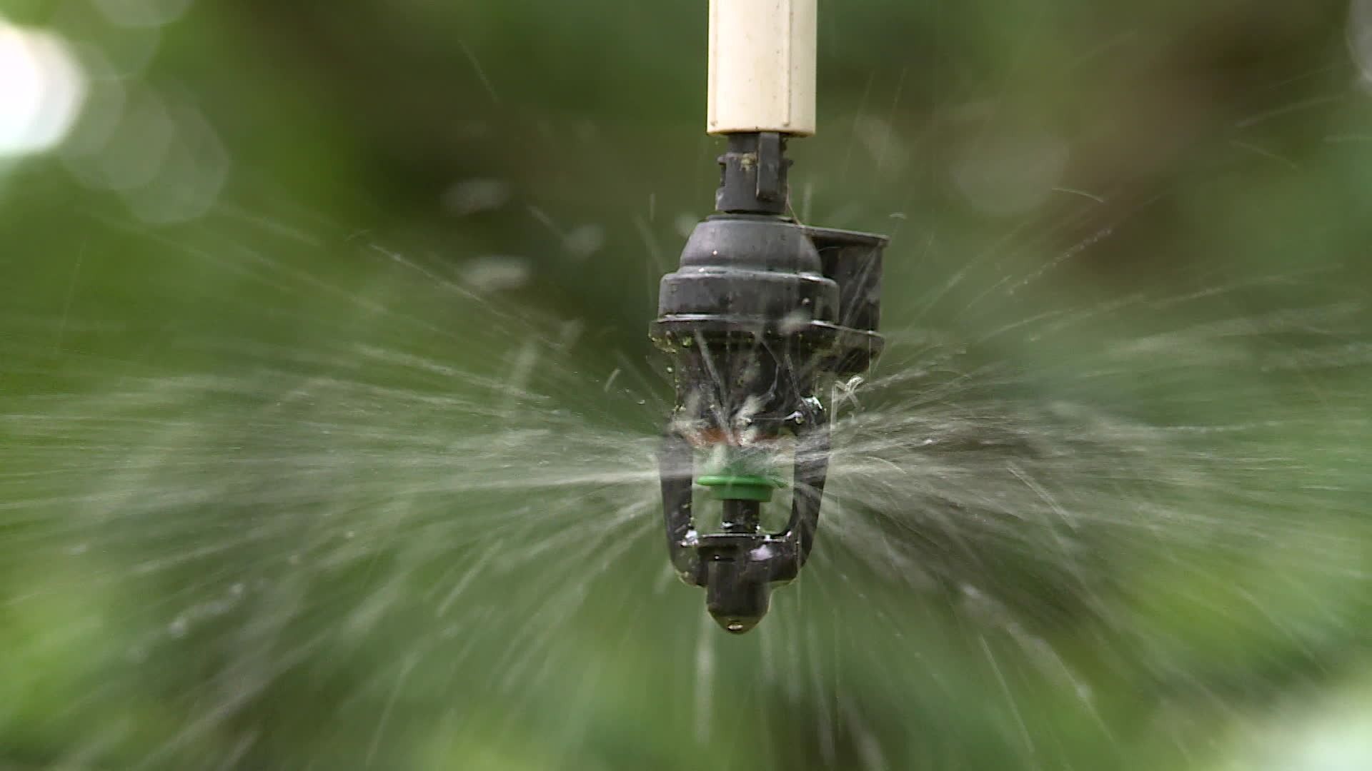 logo irrigation